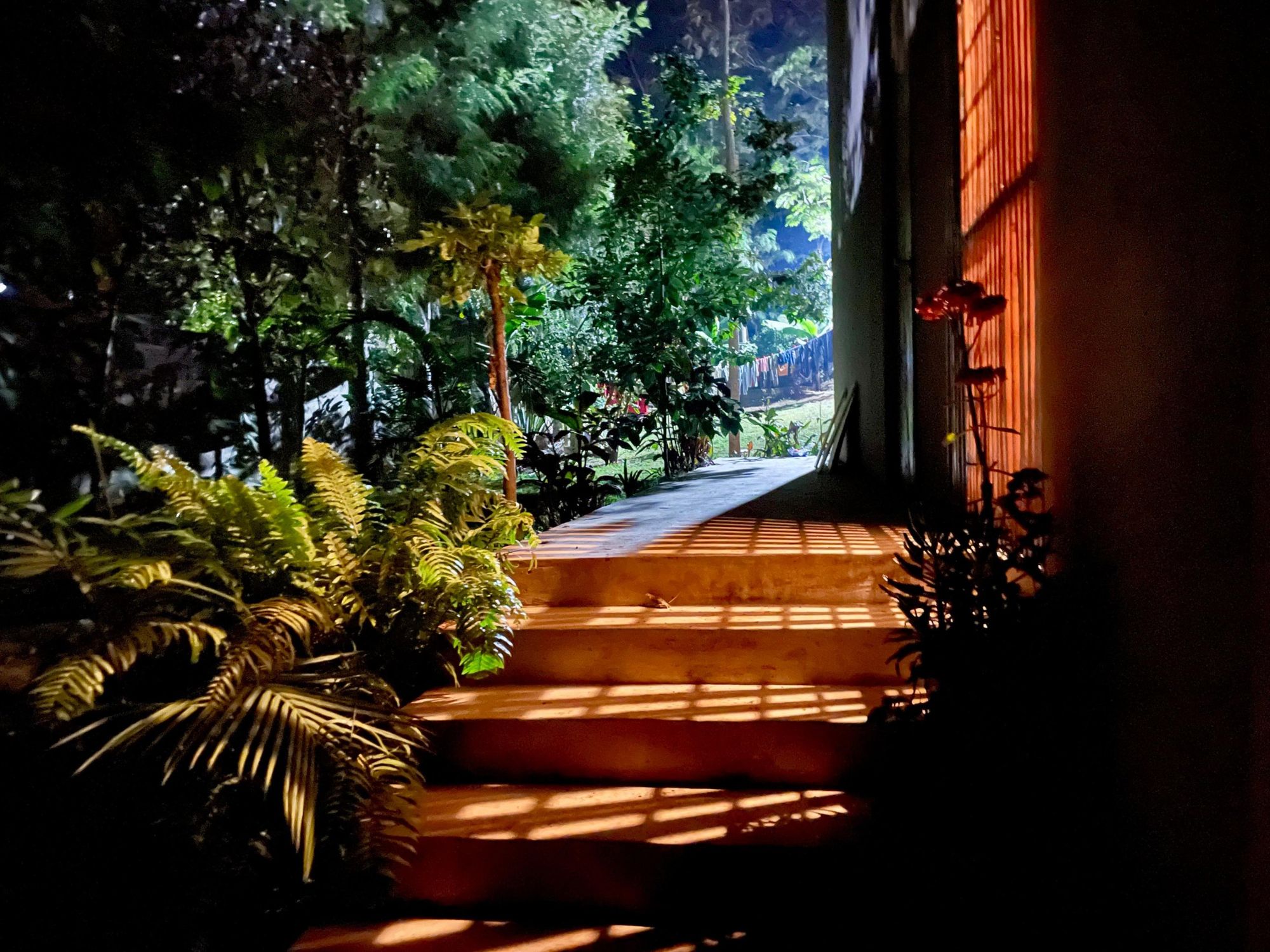 Treppe zwischen Farnen